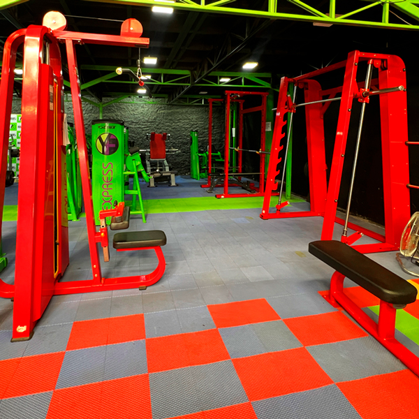 planes de gimnasio